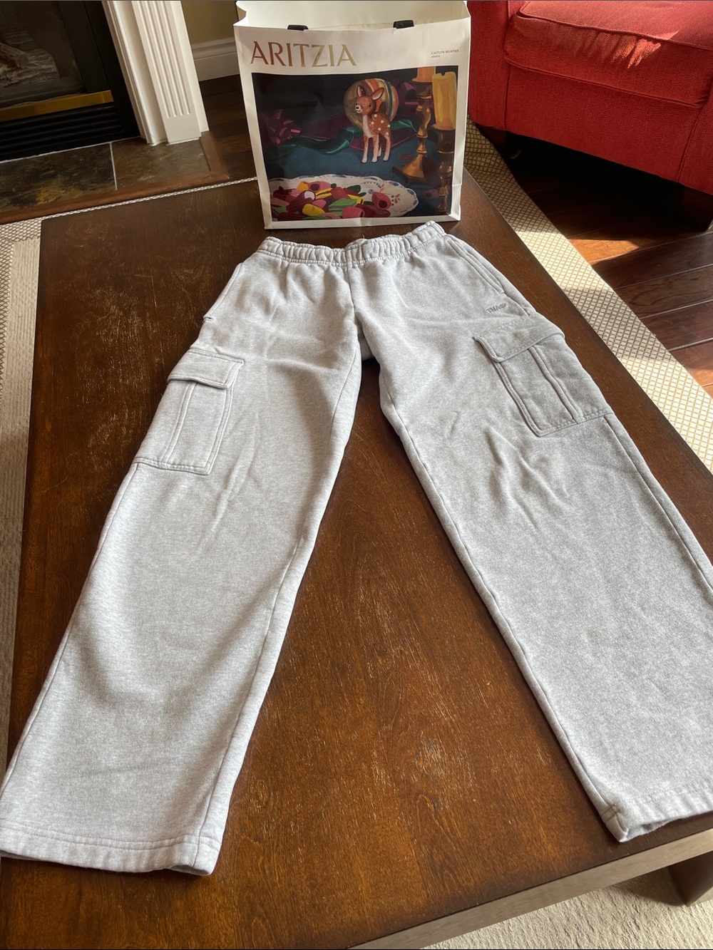 Aritzia Light Grey Women’s Cozy Sweatfleece Cargo Sweatpants